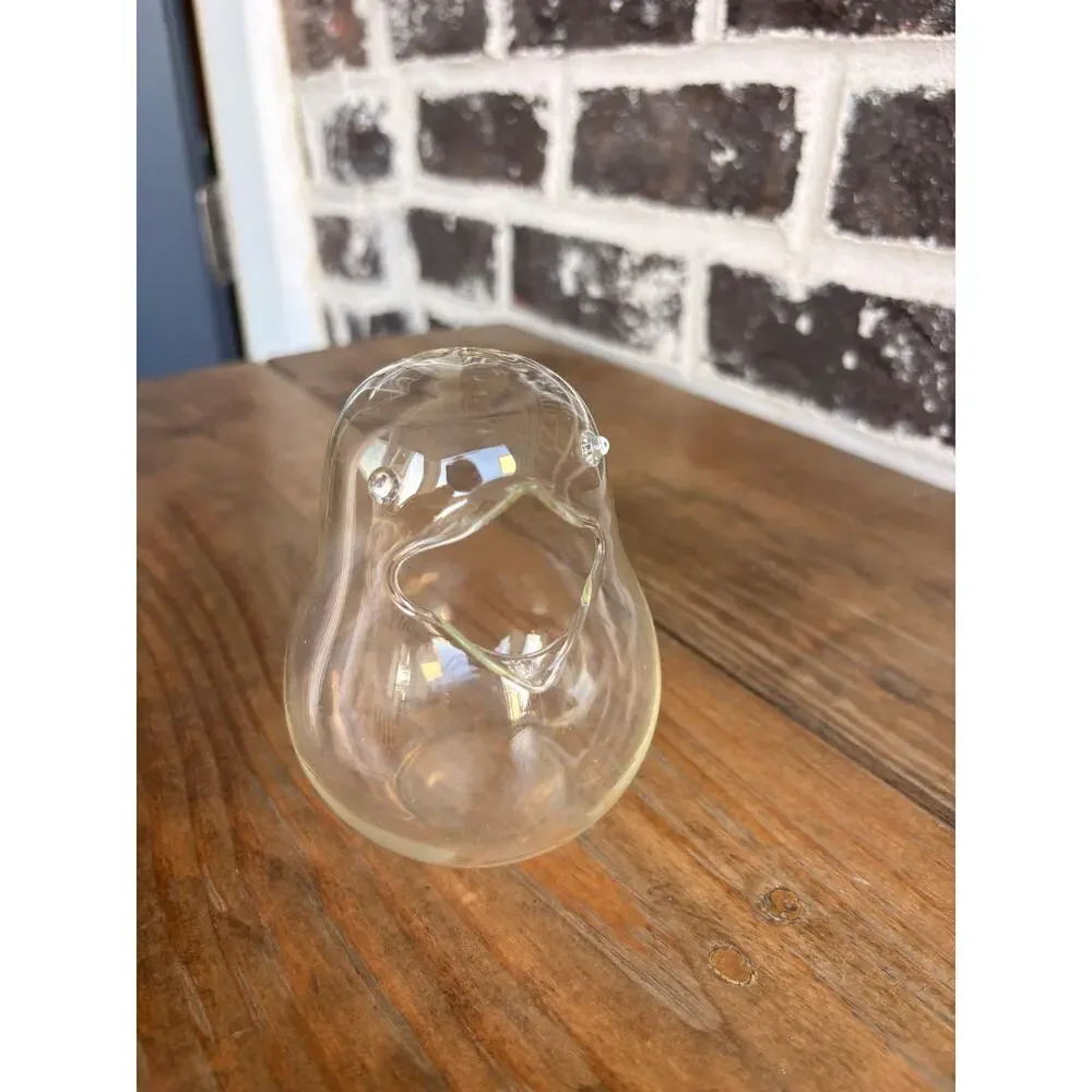 Clear Glass Bird Terrarium Planter 5” Open Body Air Plant Succulent Vase